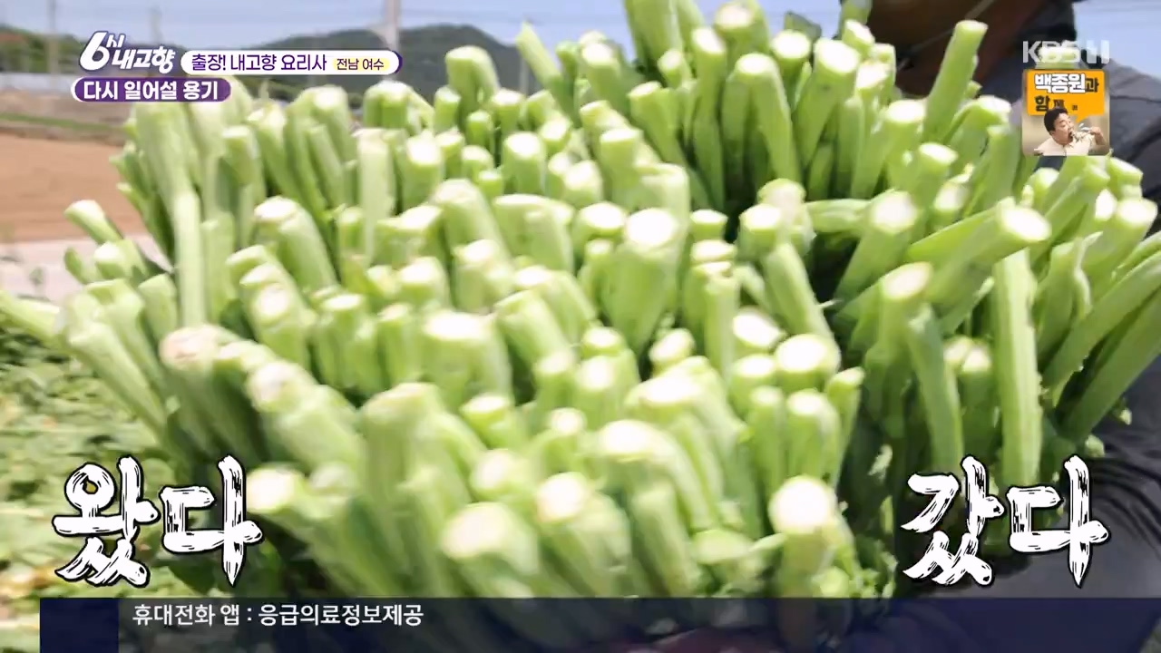 6시 내고향.E8057.240525p-NEXT.mp4_20240525_162216.469.jpg