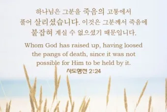 사도행전 2장 제자들의 성령 묵상_29
