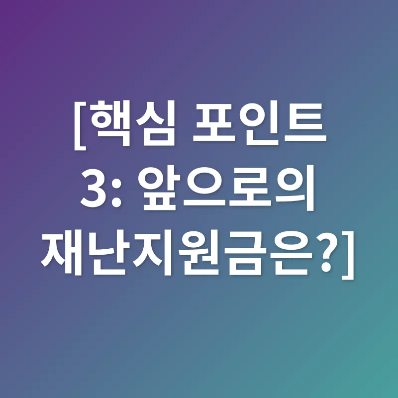 재난지원금_3