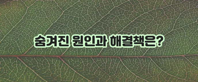 요실금 원인과 치료방법 확실하게 알아봐야 합니다!