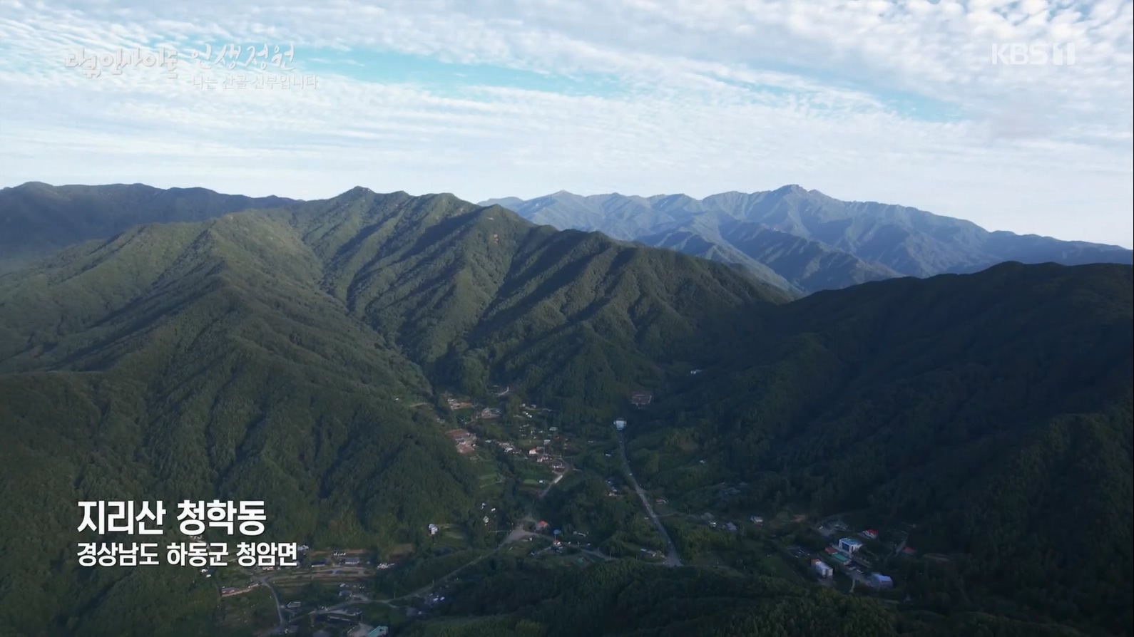 다큐 인사이트.E153.230608p.H264-F1RST.mp4_20230612_202248.863.jpg