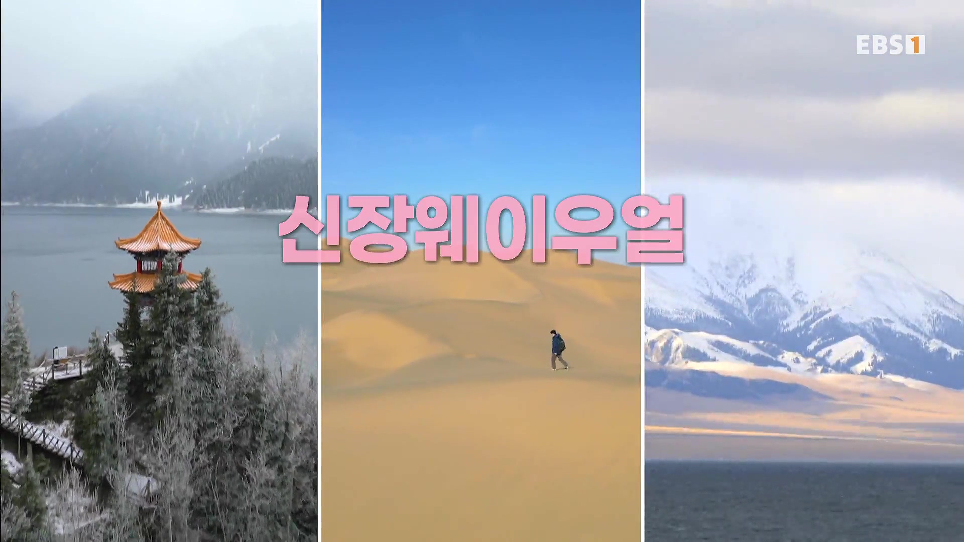 세계테마기행 240103 신장웨이우얼, 서역(西域)으로 가다! -가자! 타클라마칸으로0p.mp4_20240710_201121.708.jpg