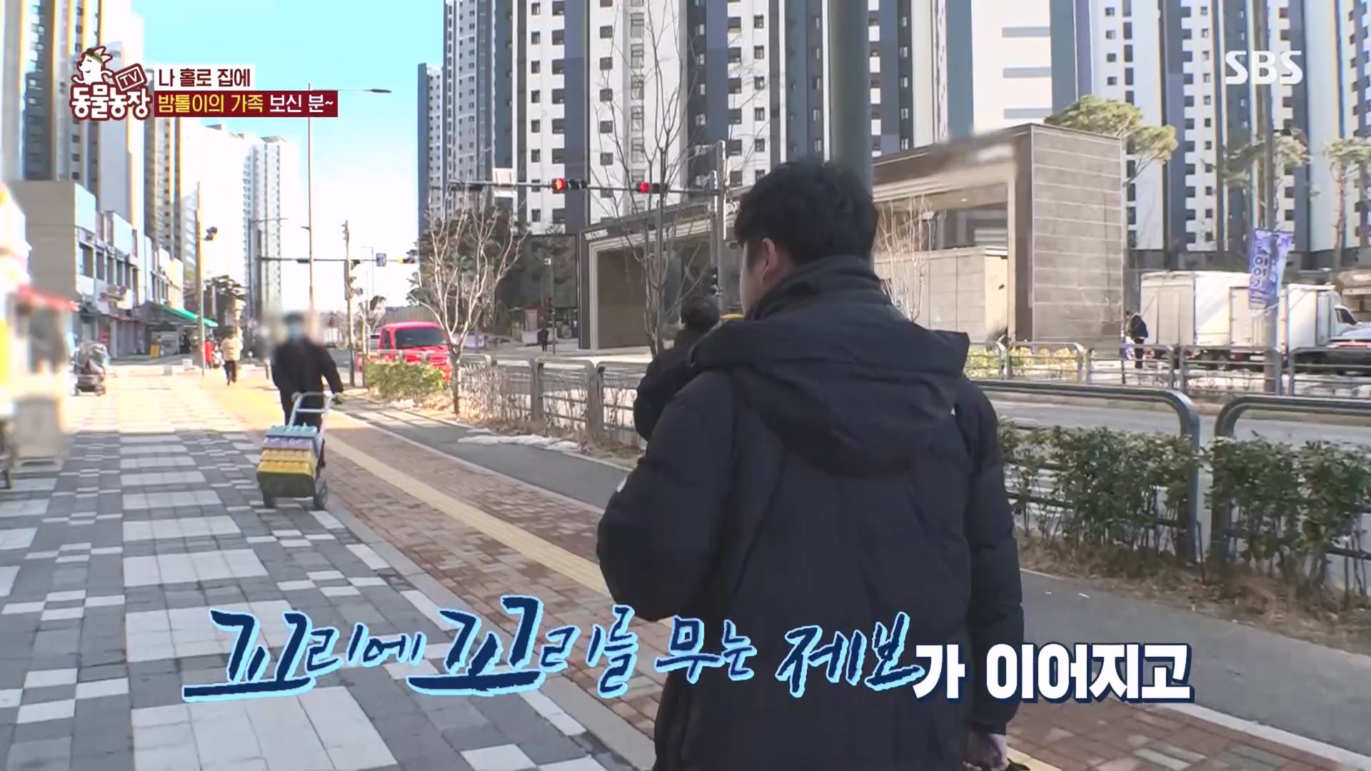 TV 동물농장.E1160.240225p.H264-F1RST.mp4_20240225_165119.615.jpg