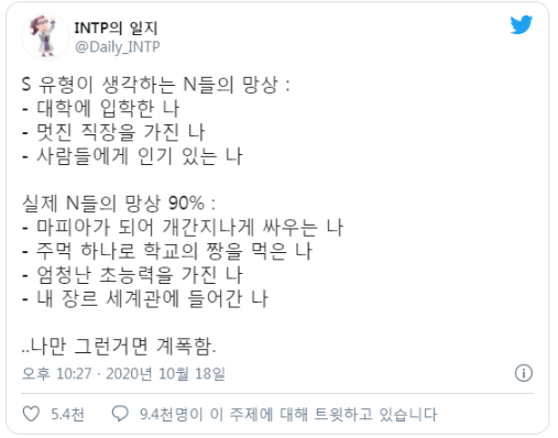  mbti - S 유형이 생각하는 N유형의 망상과 현실