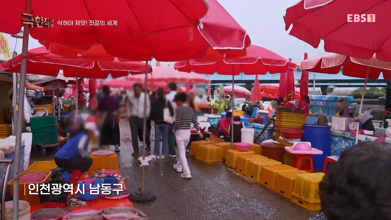TV - 전 국민의 평생학교 EBS삭혀야 제맛! 젓갈의 세계.mp4_20231125_190841.679.jpg