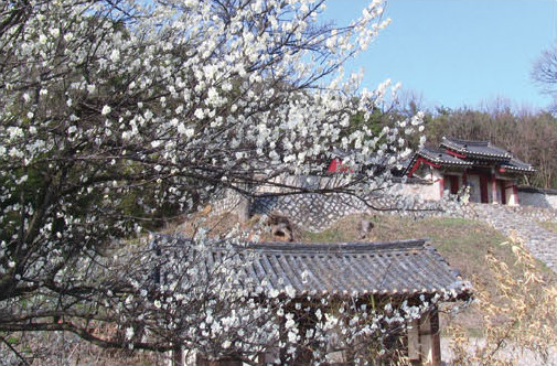 천리 이미지