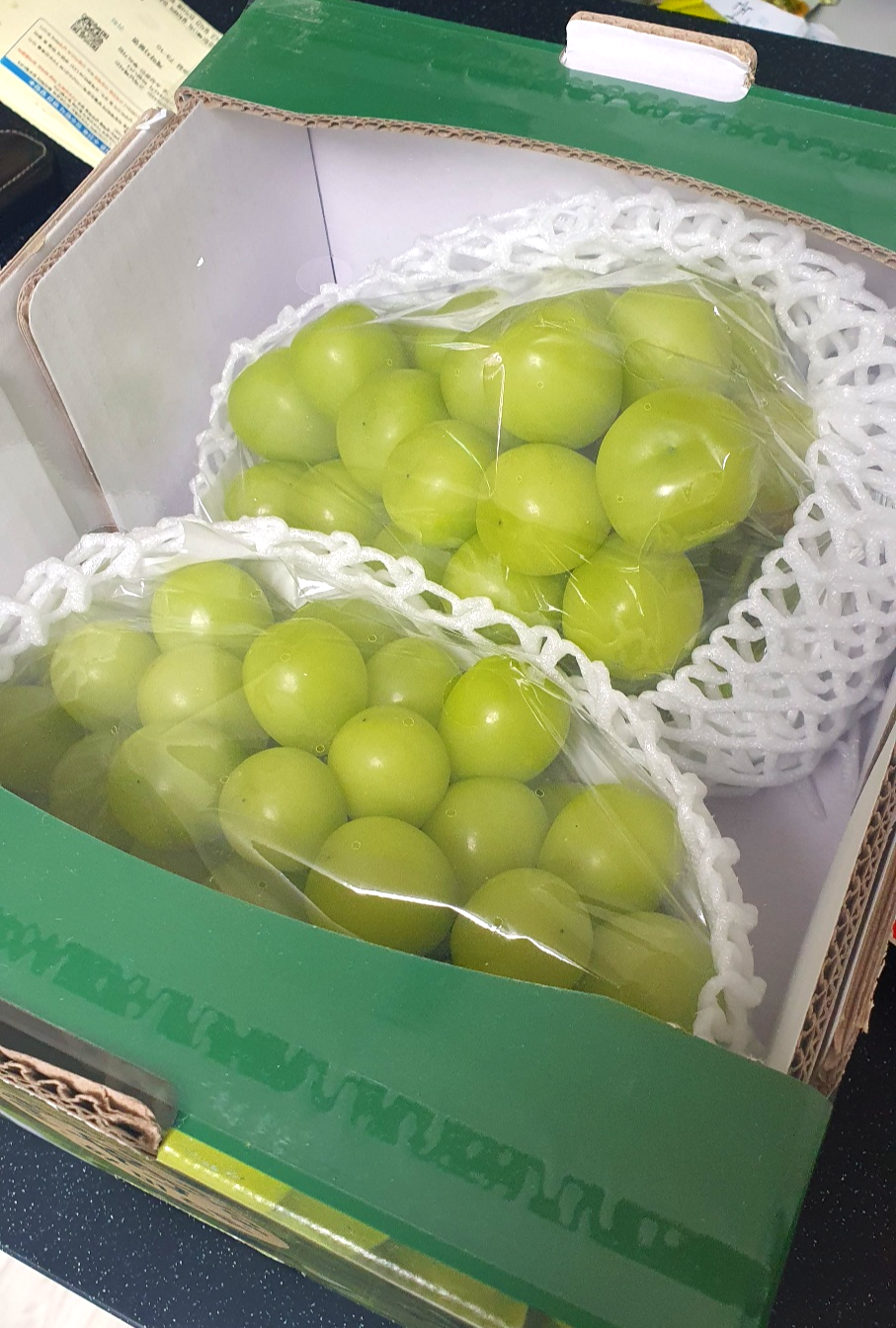  [생활꿀팁] 샤인머스켓 맛있게 먹는 법