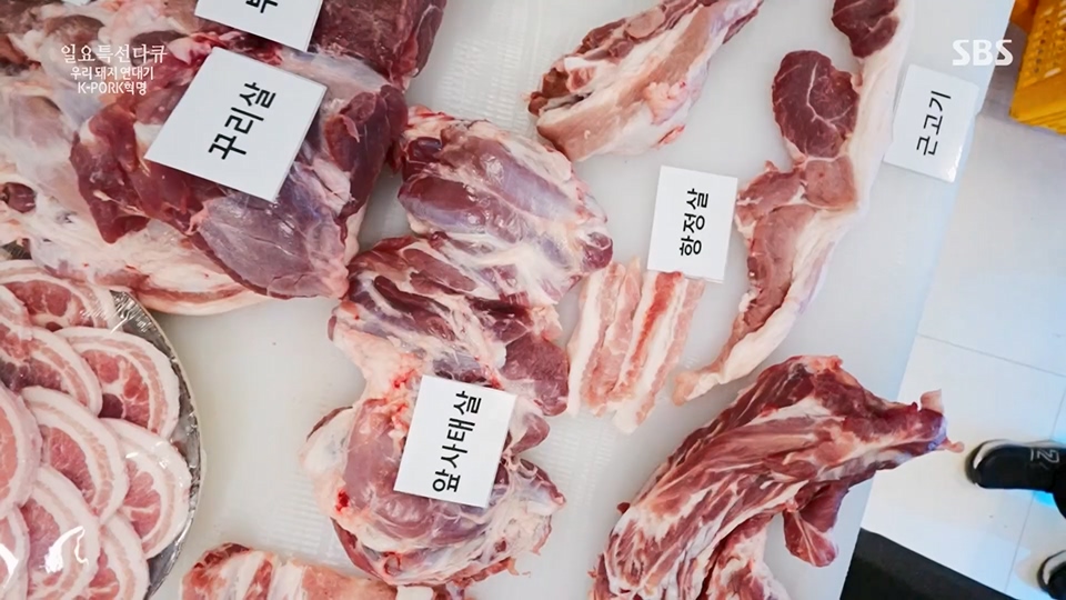 일요 특선 다큐멘터리.E315.230716p.H264-F1RST.mp4_20230717_210609.039.jpg