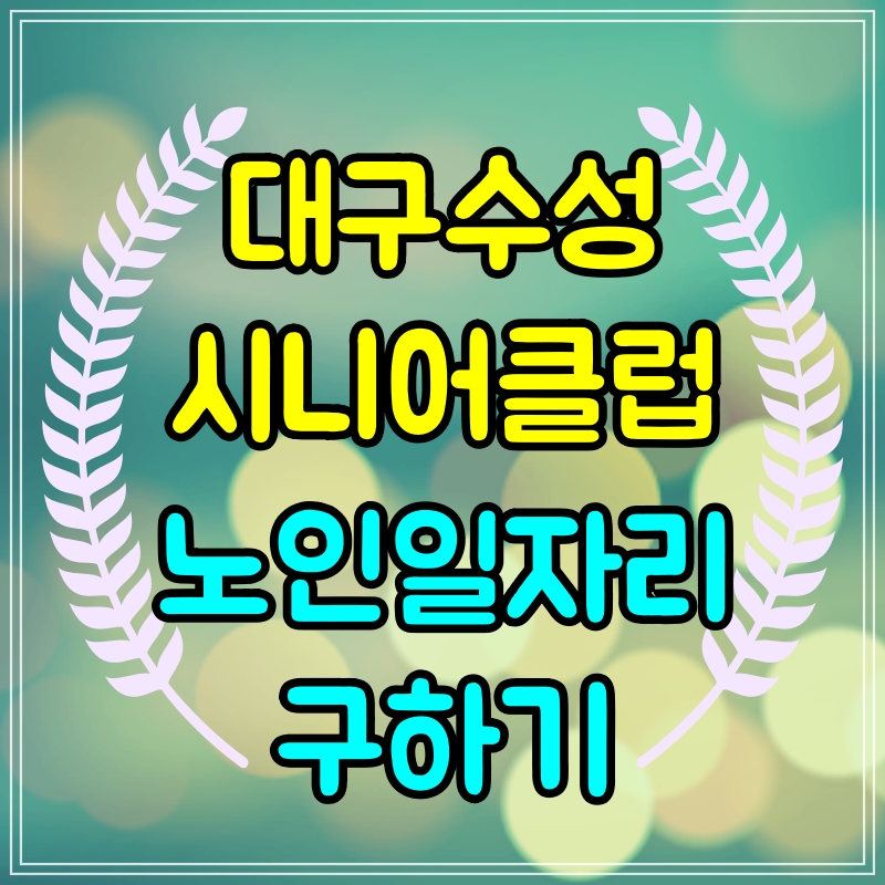  대구 수성시니어클럽 알아보기