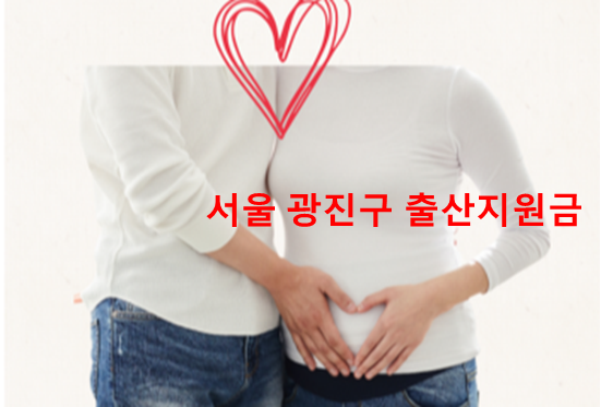  서울 광진구 출산지원금과 첫만남이용권 정리