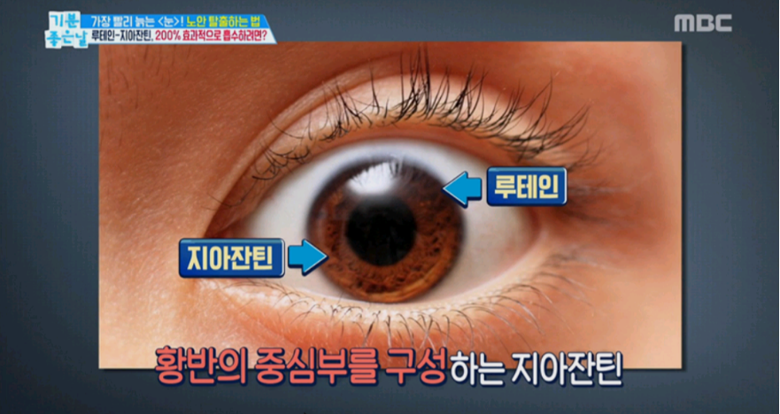  루테인 지아잔틴 효능과 음식