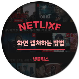  넥플릭스 (Netflix) 화면 캡쳐하는 방법
