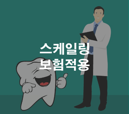 스케일링 보험적용 기간