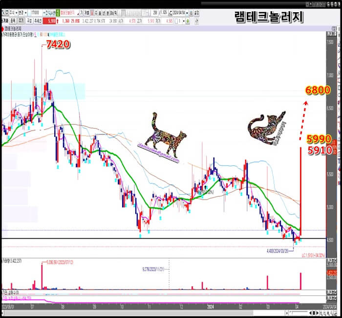 일-봉-차트