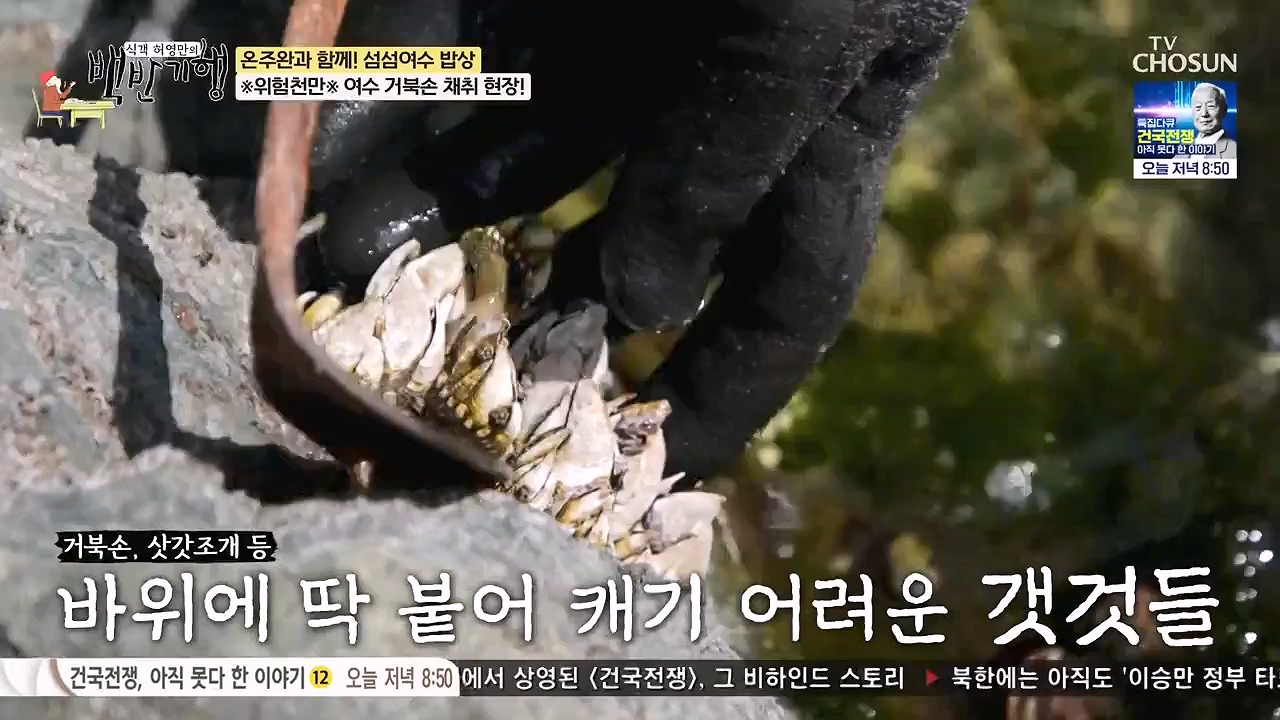 식객 허영만의 백반기행.E253.240624p-NEXT.mp4_20240624_195631.861.jpg