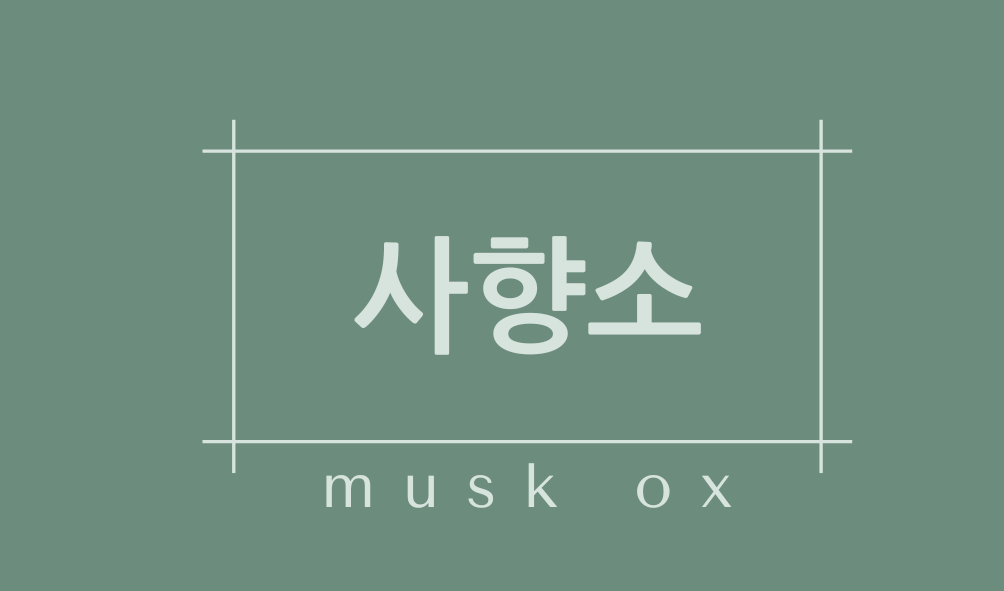 사향소(musk ox)