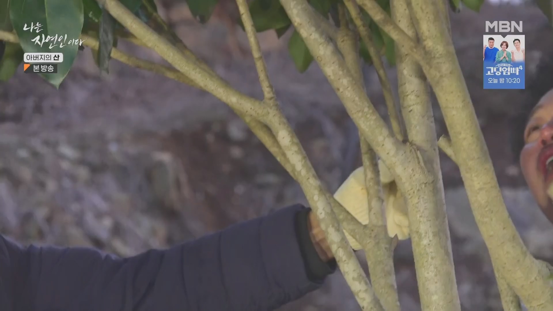 나는 자연인이다.E595.240228p.H264-F1RST.mp4_20240229_200123.009.jpg