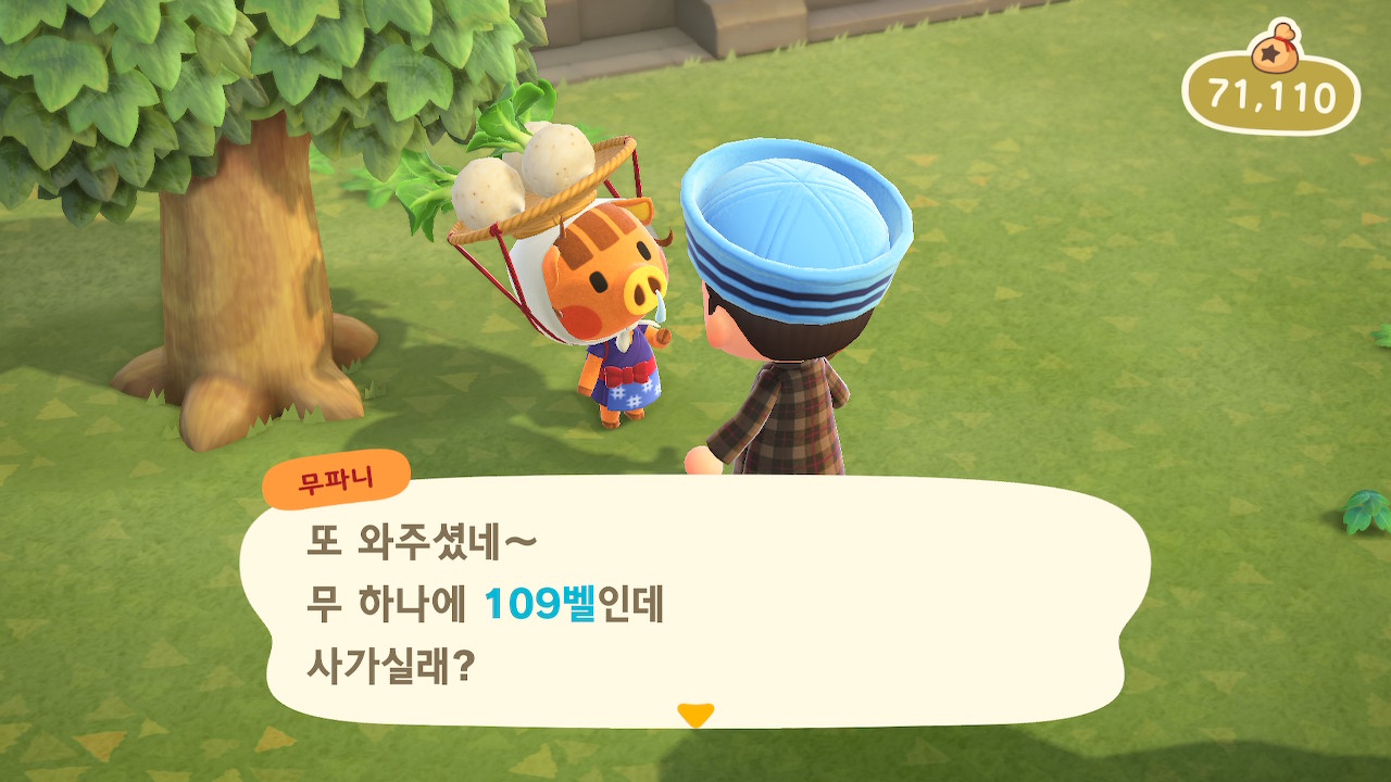 모여봐요 동물의 숲] 모동숲 공략/ 초보자 공략/팁/도구 얻기