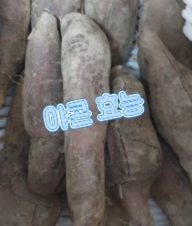 야콘-효능