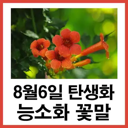 8월-6일-탄생화-능소화-꽃말