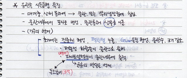  [수목병리학] 유관속시들음병, 참나무 시들음병