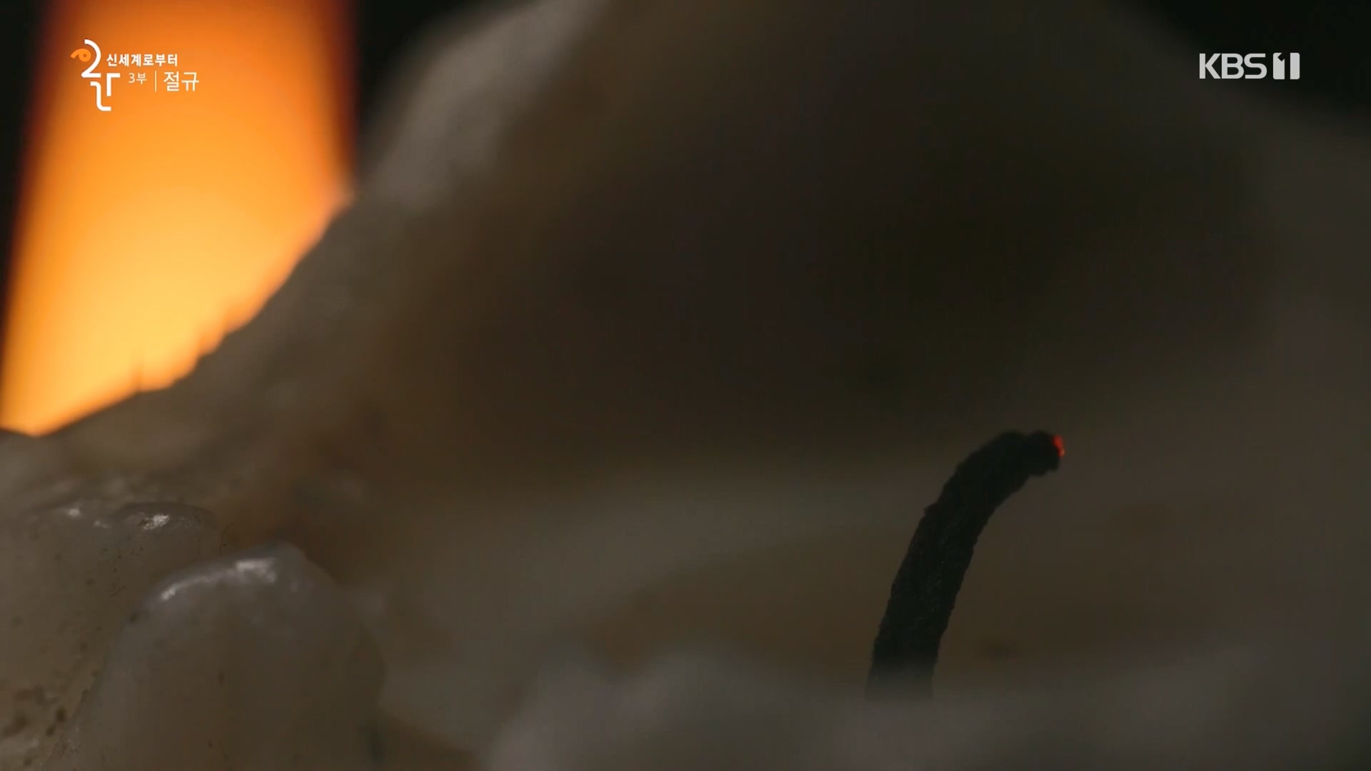 다큐 인사이트.E172.231123p.H264-F1RST.mp4_20231124_213006.381.jpg