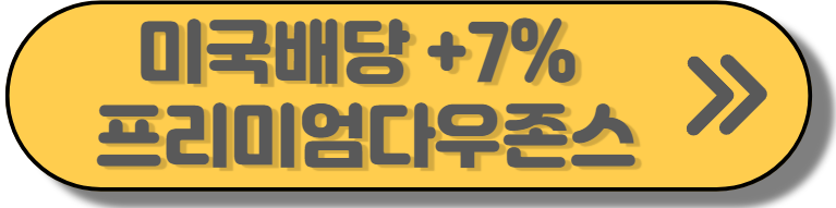 미국배당프리미엄다우존스