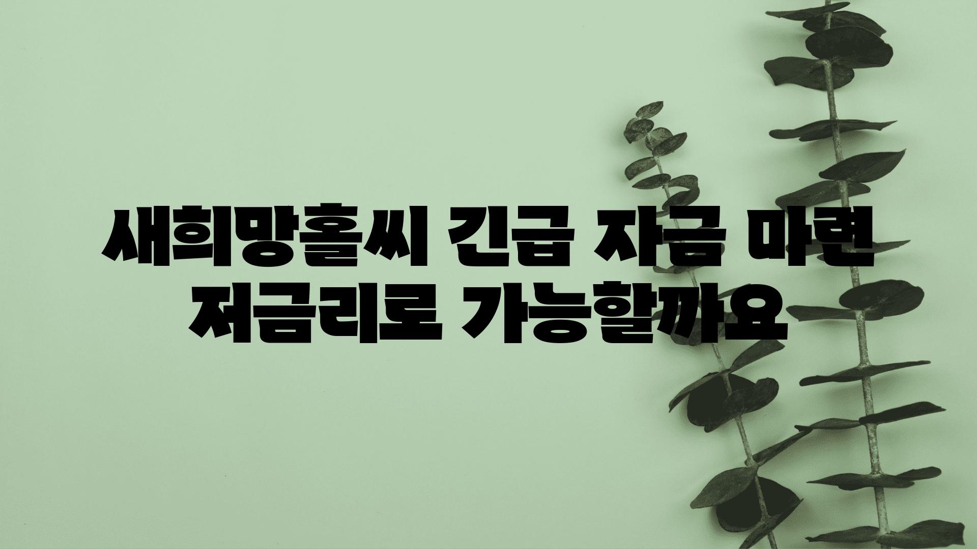 새희망홀씨 긴급 자금 마련 저금리로 가능할까요