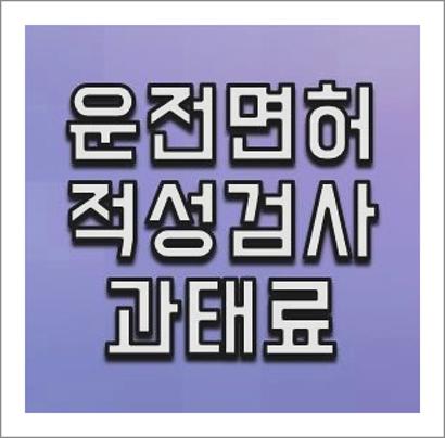 운전면허 적성검사 기간 지나면