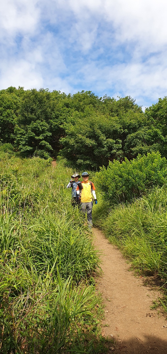 예봉산(2020.7.11) 10