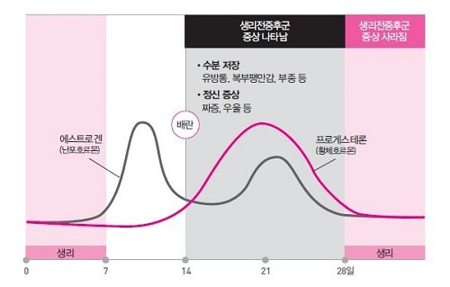  생리전증후군 PMS증후군 증상 및 치료방법