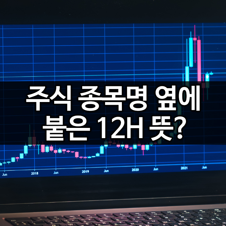 주식 종목명 옆에 붙은 12H 뜻?