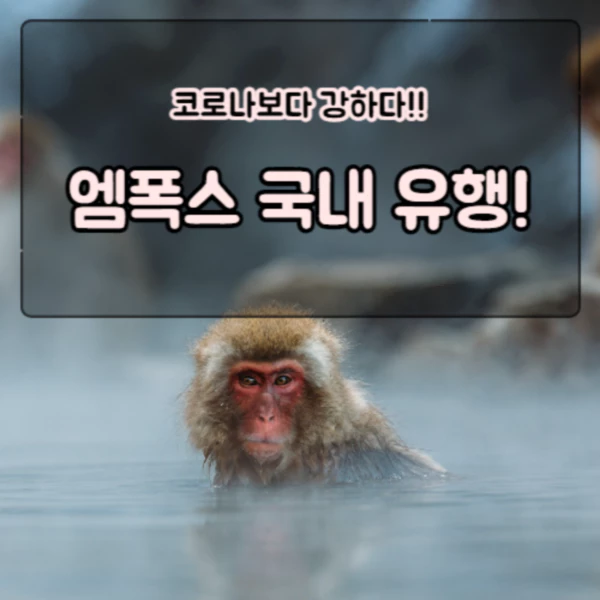  엠폭스: 급성 발진성 감염병