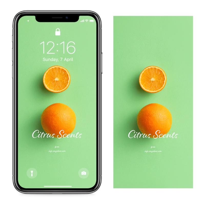 07 오렌지 연두색 배경 C - Citrus Scents 아이폰주황색배경화면