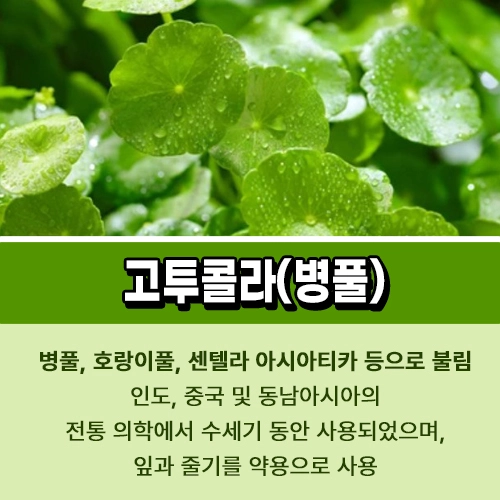 고투콜라