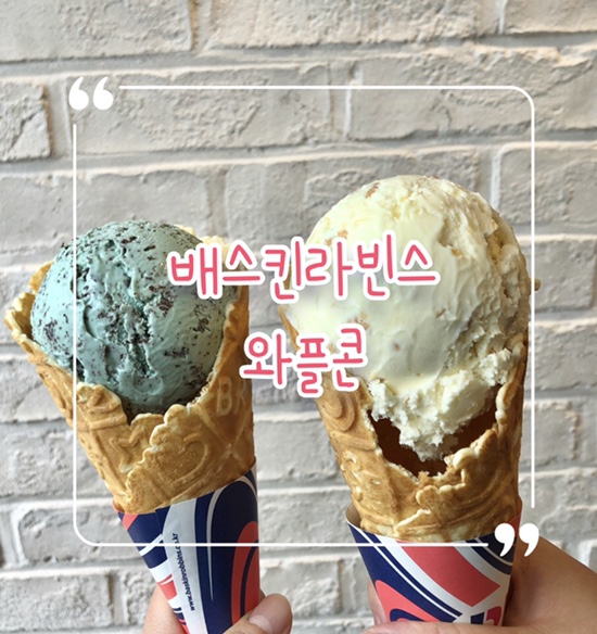  베스킨라빈스 와플콘 리뷰 | 민트 초코칩 & 뉴욕 치즈케이크