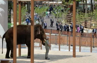 부산동물원 대형동물원 24개월 미만 무료 연중무휴 완벽 이용 가이드_3