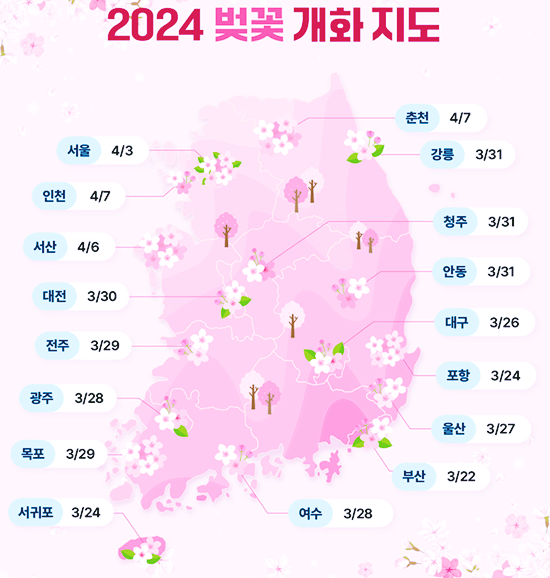 2024-전국-벚꽃-개화시기