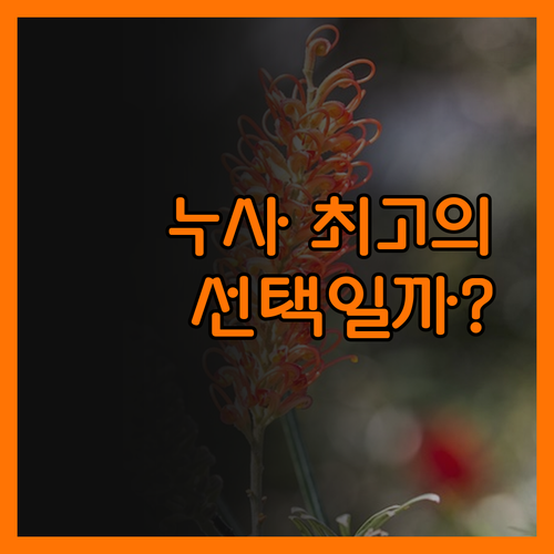 더 세벨 누사, 누사 최고의 선택일까