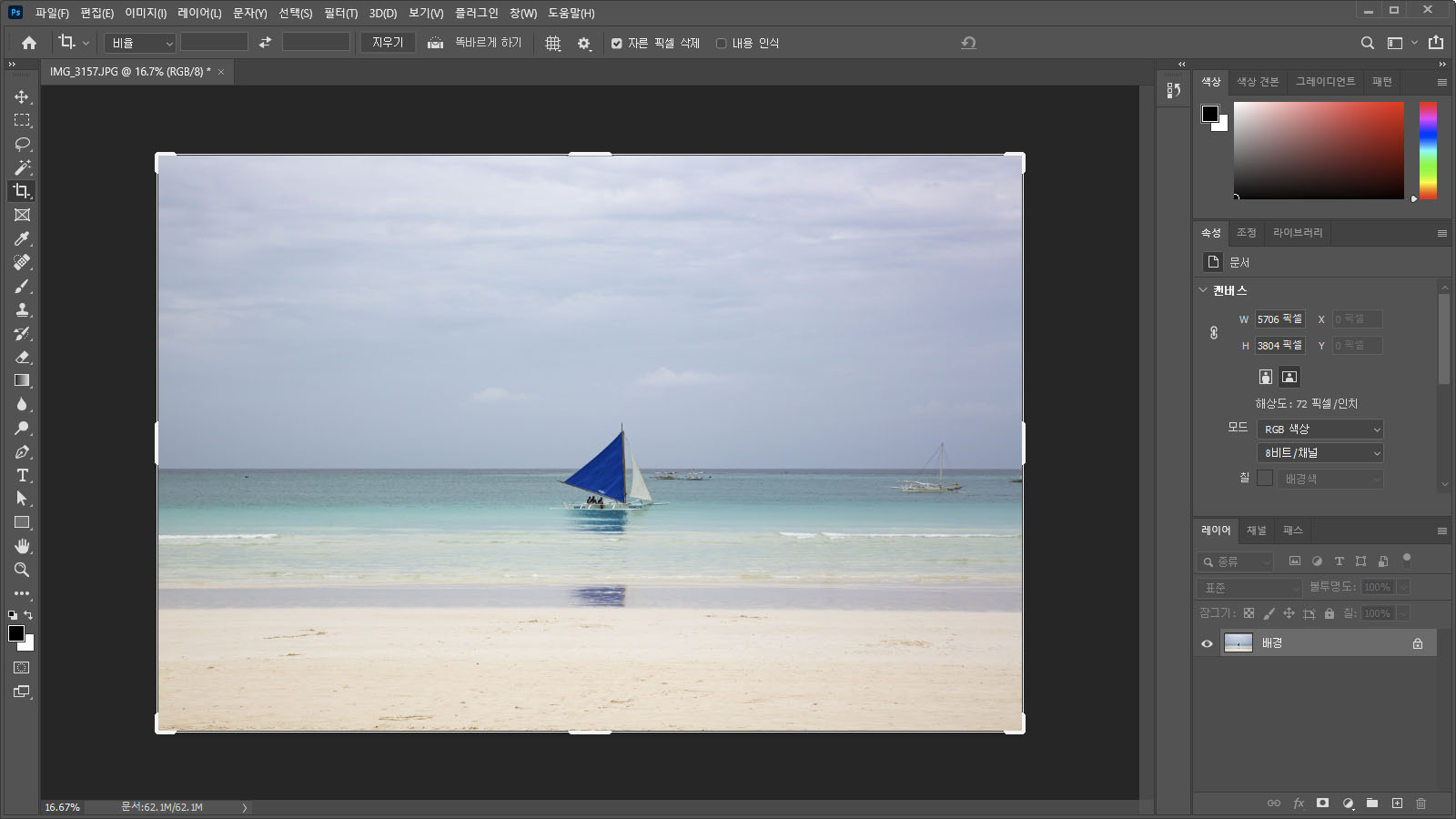 선택 영역 없이 자르기 도구 사용