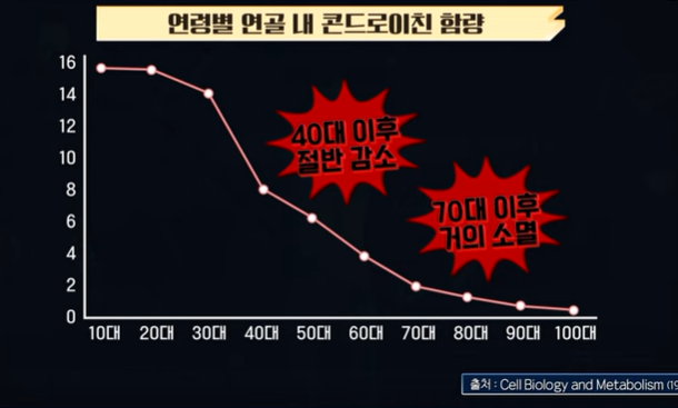 연령대별 연골 속 콘드로이친 함량