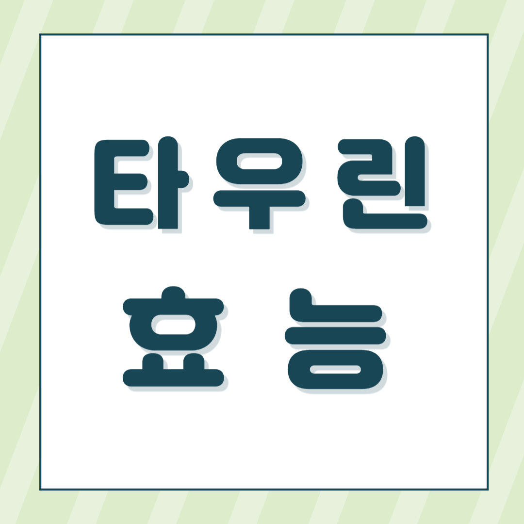 타우린효능