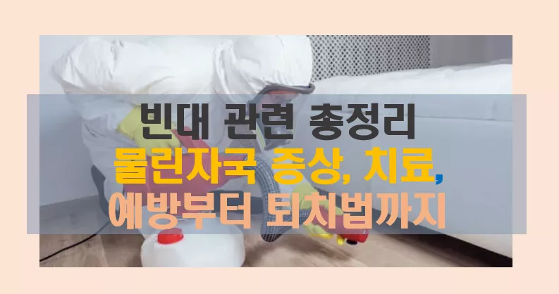 빈대 관련 총정리