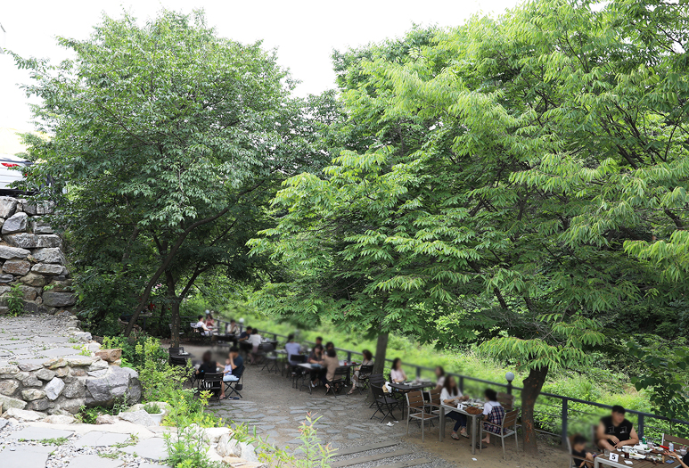 478 용인 고기리 계곡 카페 12