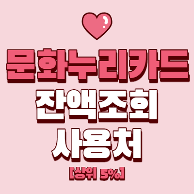  문화누리카드 잔액조회 및 사용처 정리