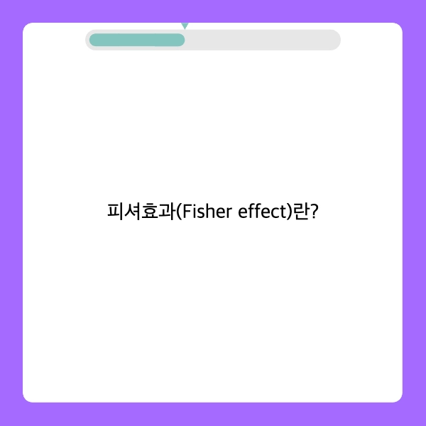 피셔효과 (Fisher effect)란?