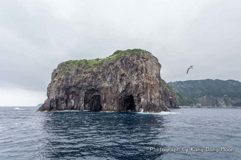 울릉도 여행 가볼만한곳 유람선 배 타기 국내 바다 추천 경북 동해안 2박3일 12