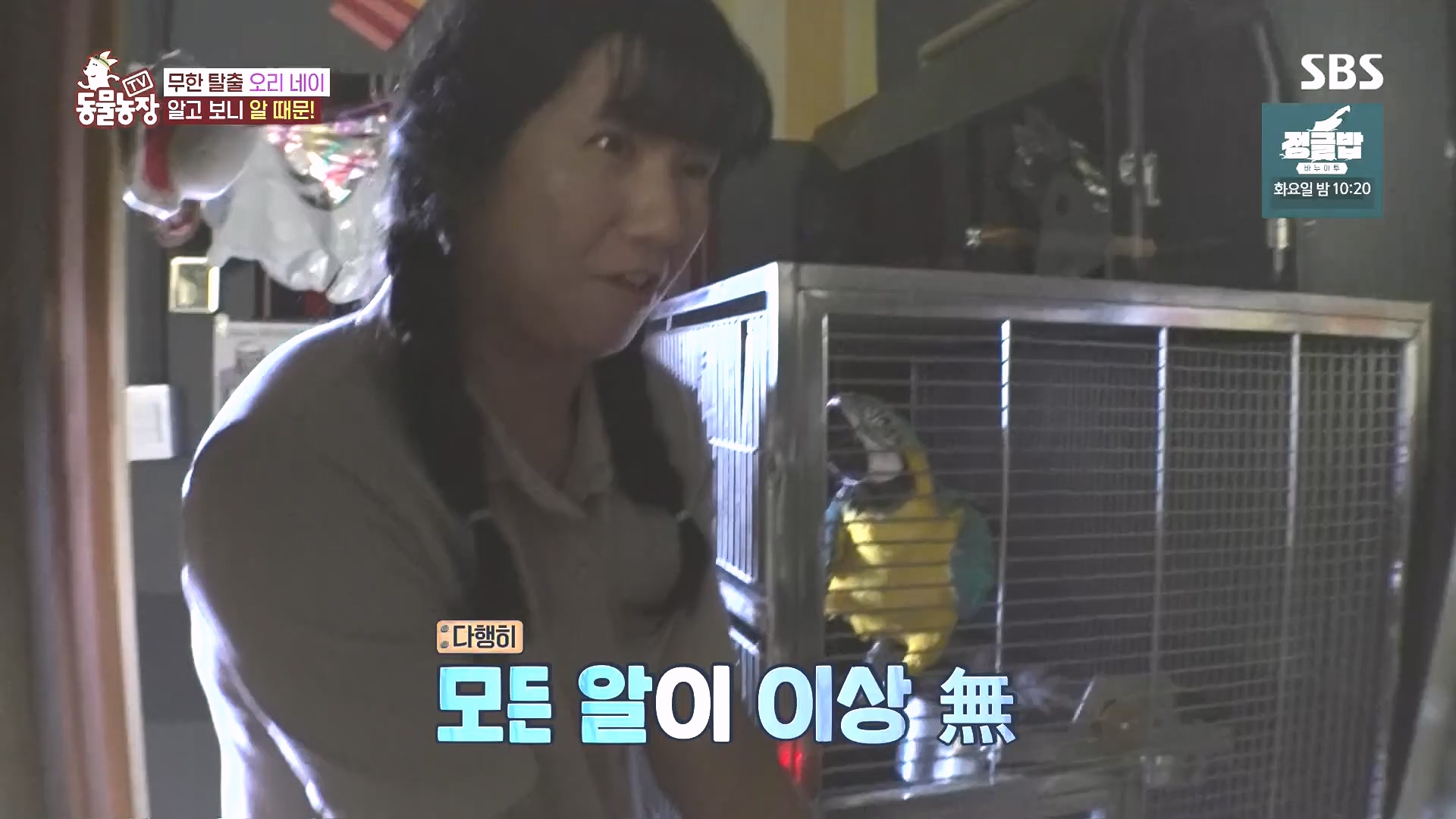 TV 동물농장.E1185.240818p.H264-F1RST.mp4_20240818_161604.381.jpg