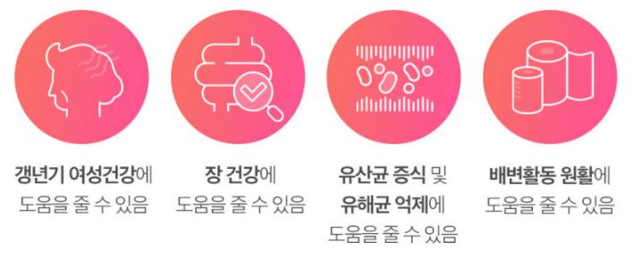 메노락토 프로바이오틱스