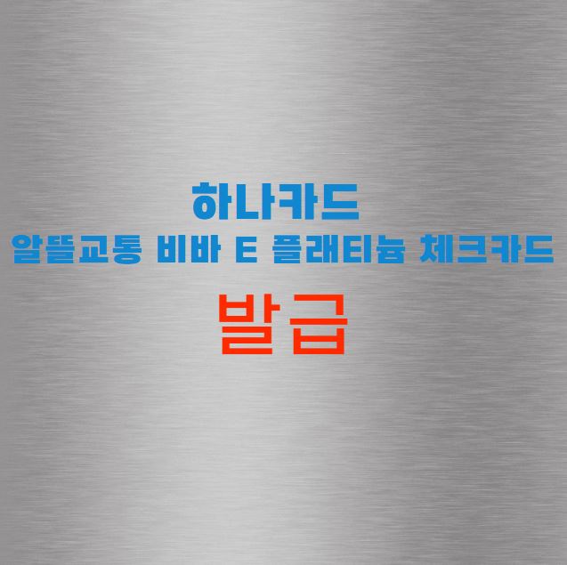 하나카드 알뜰교통 비바 e 플래티늄 체크카드